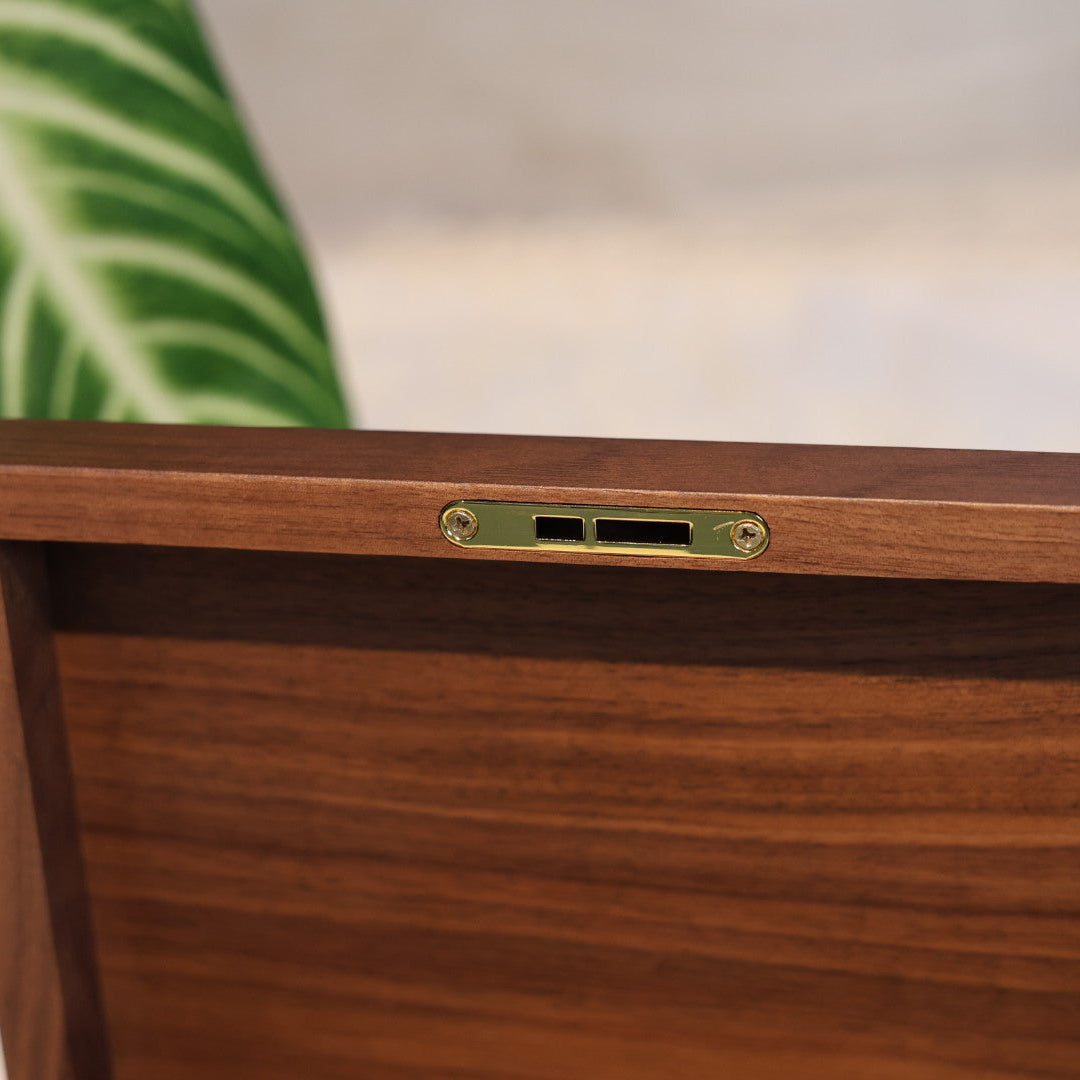 Wooden box with a brass latch on a blurred background
